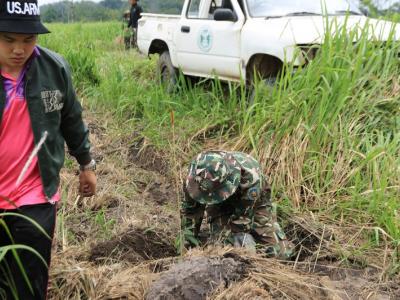 60-ปลูกป่า เขตรักษาพันธ์สัตว์ป่าภูหลวง