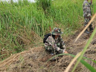 60-ปลูกป่า เขตรักษาพันธ์สัตว์ป่าภูหลวง